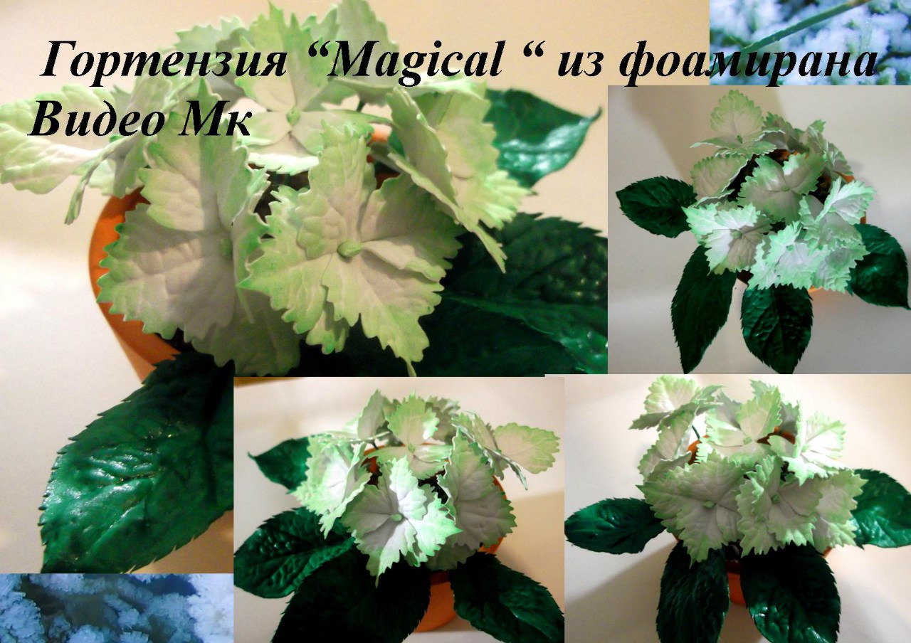 Гортензия Magical из фоамирана - Мирсанова (2016)_0.jpg